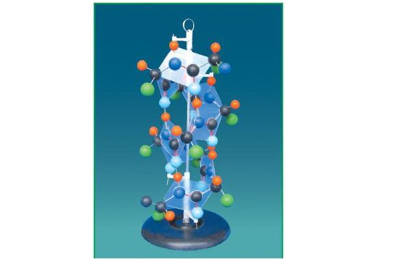 model-molecula-proteina